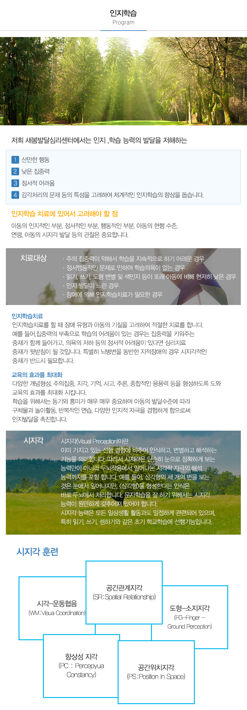 새봄발달심리센터_내용